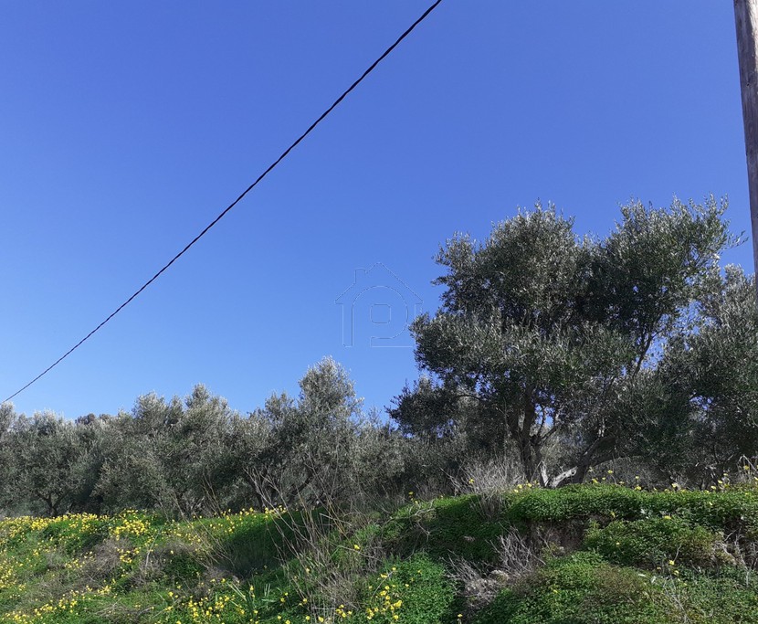 Land plot 1.000 sqm for sale