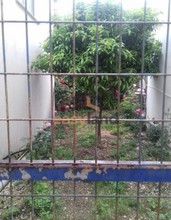 Detached home 204sqm for sale-Paralia » Chantziliako