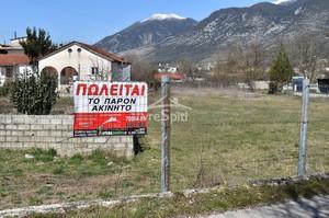 Οικόπεδο 1.000 τ.μ. για πώληση, Ν. Ιωαννίνων, Πέραμα-thumb-12