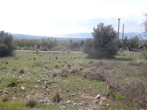Οικόπεδο 470τ.μ. για πώληση-Αμάρυνθος » Γυμνό