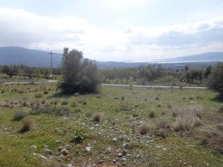 Οικόπεδο 470 τ.μ. για πώληση, Εύβοια, Αμάρυνθος-thumb-2