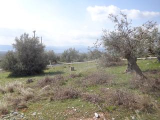 Οικόπεδο 470 τ.μ. για πώληση, Εύβοια, Αμάρυνθος-thumb-3