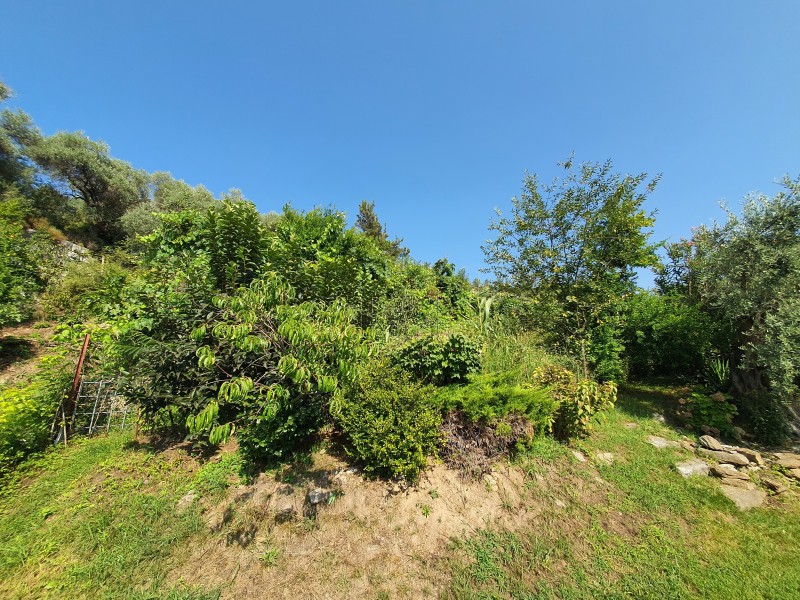 Land plot 810 sqm for sale, Kavala Prefecture, Thasos