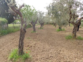 Land plot 580sqm for sale-Amarinthos » Gimno