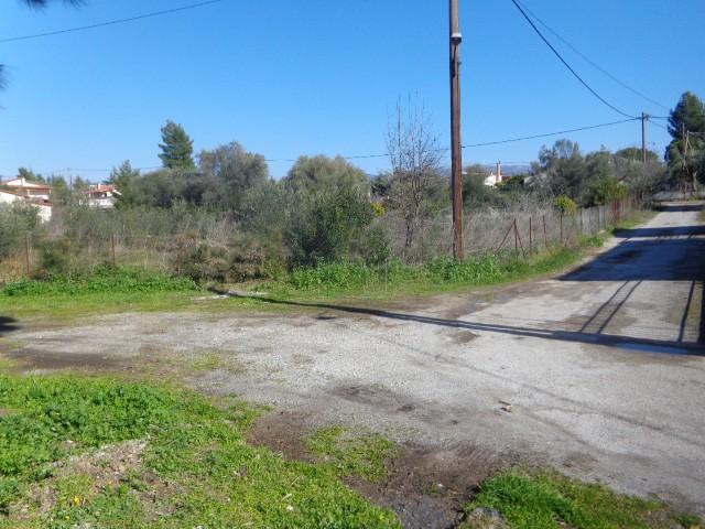 Αγροτεμάχια 865 τ.μ. πρός πώληση, Εύβοια, Ερέτρια