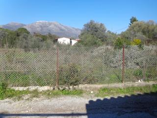 Αγροτεμάχια 865 τ.μ. για πώληση, Εύβοια, Ερέτρια-thumb-6