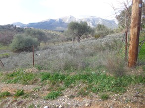 Οικόπεδο 500τ.μ. για πώληση-Αμάρυνθος » Καλλιθέα