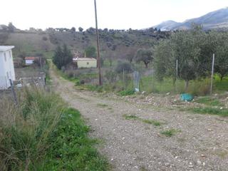 Οικόπεδο 500 τ.μ. για πώληση, Εύβοια, Αμάρυνθος-thumb-1