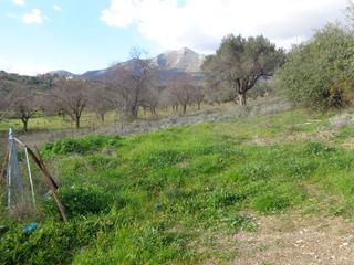 Οικόπεδο 500 τ.μ. για πώληση, Εύβοια, Αμάρυνθος-thumb-2