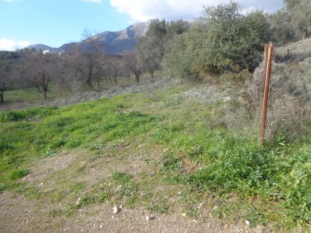 Οικόπεδο 500 τ.μ. πρός πώληση, Εύβοια, Αμάρυνθος