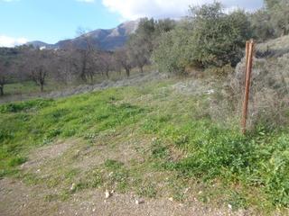 Οικόπεδο 500 τ.μ. για πώληση, Εύβοια, Αμάρυνθος-thumb-3