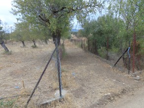 Αγροτεμάχια 5.000τ.μ. για πώληση-Αμάρυνθος » Καλλιθέα