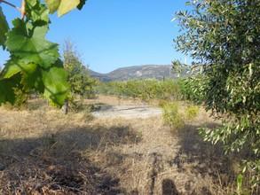 Οικόπεδο 500 τ.μ. για πώληση, Εύβοια, Αμάρυνθος-thumb-1