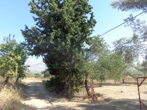 Αγροτεμάχια 2.370 τ.μ. για πώληση