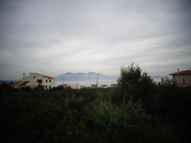Οικόπεδο 850 τ.μ. για πώληση, Εύβοια, Ταμύνες