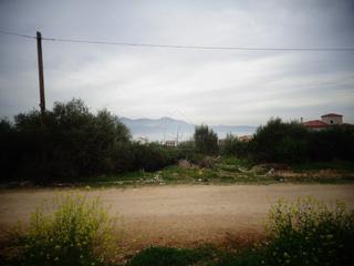 Οικόπεδο 850 τ.μ. για πώληση, Εύβοια, Ταμύνες-thumb-1