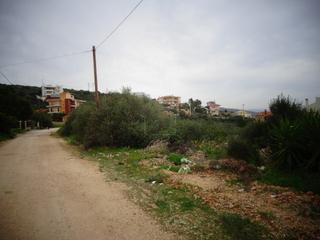 Οικόπεδο 850 τ.μ. για πώληση, Εύβοια, Ταμύνες-thumb-2