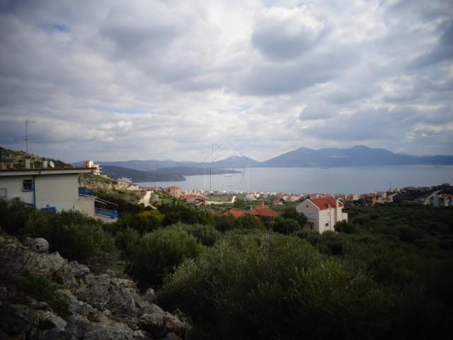 Οικόπεδο 780 τ.μ. για πώληση, Εύβοια, Ταμύνες