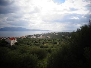 Οικόπεδο 780 τ.μ. για πώληση, Εύβοια, Ταμύνες-thumb-1