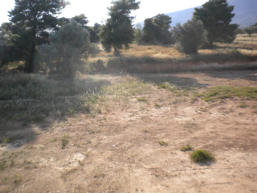 Μεζονέτα 134τ.μ. για πώληση-Ερέτρια » Μαγούλα