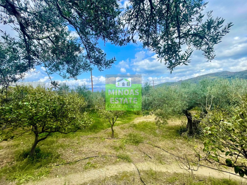 Land plot 1.950 sqm for sale