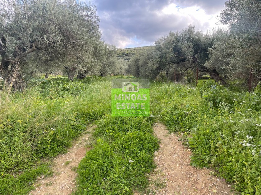 Land plot 2.056 sqm for sale