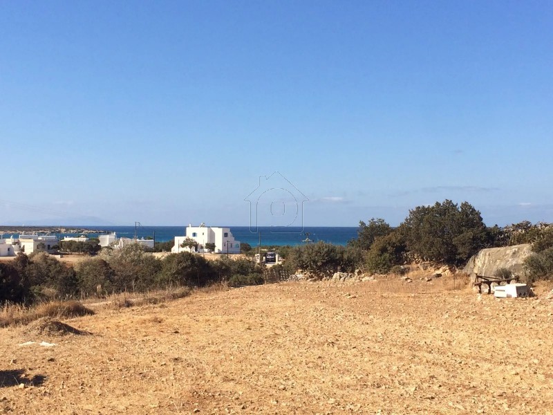 Αγροτεμάχια 15.000 τ.μ. για πώληση