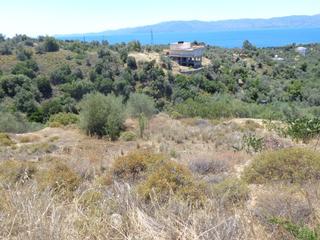 Αγροτεμάχια 2.015 τ.μ. για πώληση, Εύβοια, Αμάρυνθος-thumb-1