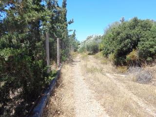 Αγροτεμάχια 2.015 τ.μ. για πώληση, Εύβοια, Αμάρυνθος-thumb-2