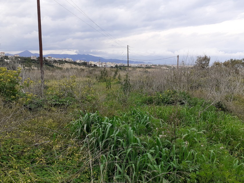 Land plot 3.515 sqm for sale