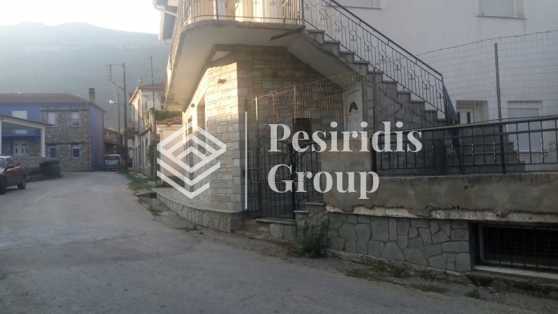 Μονοκατοικία 170τ.μ. για πώληση-Αμύνταιο » Άγιος παντελεήμονας