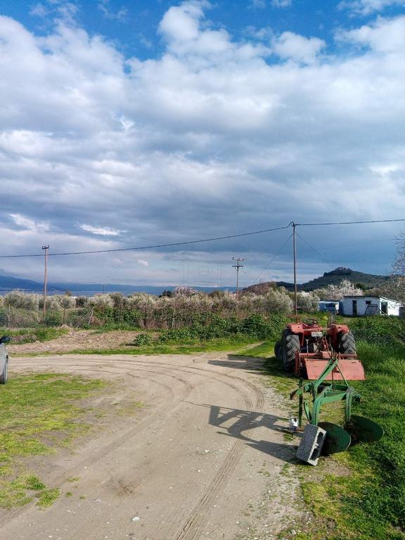 Αγροτεμάχια 6.700 τ.μ. προς πώληση, Νέες Παγασές