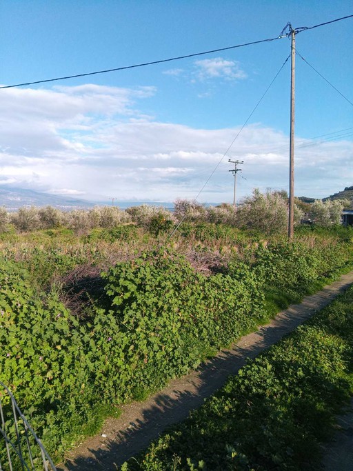 Parcel 6.700 sqm for sale