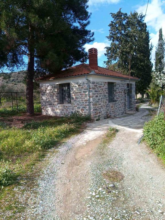 Αγροτεμάχια 6.700 τ.μ. προς πώληση, Νέες Παγασές