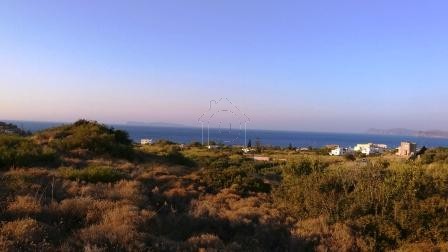 Land plot 31.200 sqm for sale