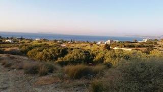 Οικόπεδο 31.200 τ.μ. για πώληση, Ν. Λασιθίου, Σητεία-thumb-4