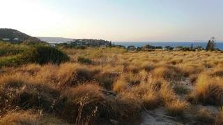 Οικόπεδο 31.200 τ.μ. για πώληση, Ν. Λασιθίου, Σητεία-thumb-5