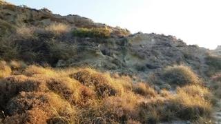 Οικόπεδο 31.200 τ.μ. για πώληση, Ν. Λασιθίου, Σητεία-thumb-11