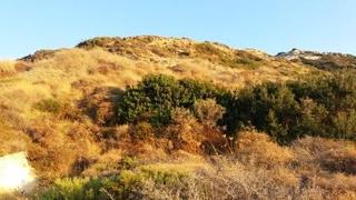 Οικόπεδο 31.200 τ.μ. για πώληση, Ν. Λασιθίου, Σητεία-thumb-13