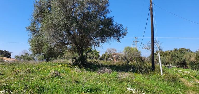 Οικόπεδο 5.340 τ.μ. για πώληση, Ν. Ηλείας, Πύργος