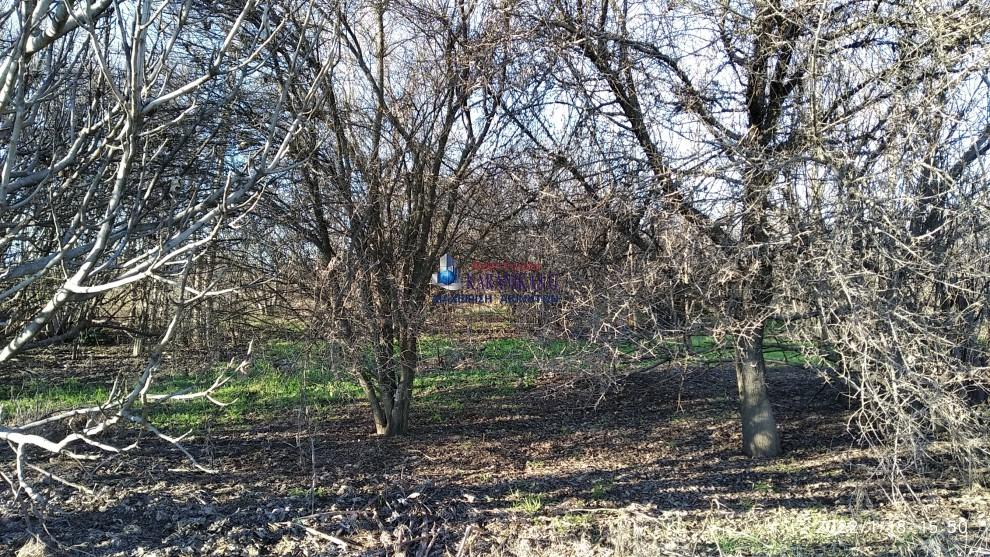 Αγροτεμάχια 3.479 τ.μ. προς πώληση, Μεγαλοχώρι Εστιαιώτιδας