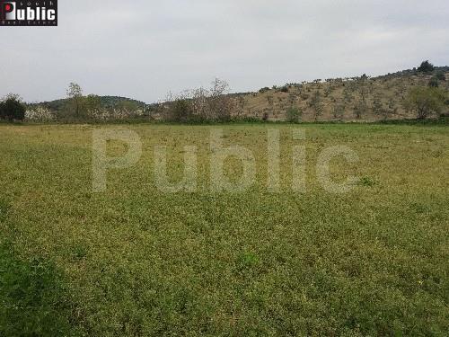 Οικόπεδο 10.000 τ.μ. προς πώληση, Κέντρο Ιστιαίας