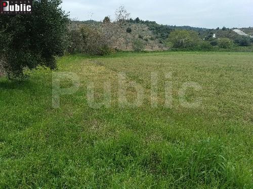 Οικόπεδο 10.000 τ.μ. προς πώληση, Κέντρο Ιστιαίας