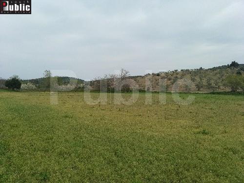 Οικόπεδο 10.000 τ.μ. προς πώληση, Κέντρο Ιστιαίας