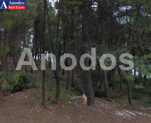 Οικόπεδο 1.800τ.μ. για πώληση-Διόνυσος » Κέντρο