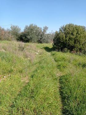 Οικόπεδο 2.000 τ.μ. προς πώληση, Ξηροπήγαδο Βόρειας Κυνουρίας