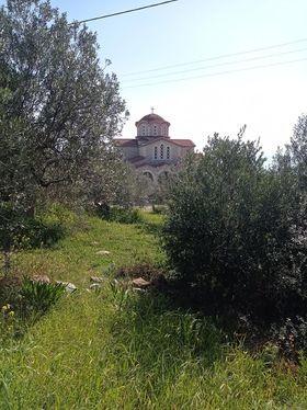 Οικόπεδο 2.000 τ.μ. προς πώληση, Ξηροπήγαδο Βόρειας Κυνουρίας