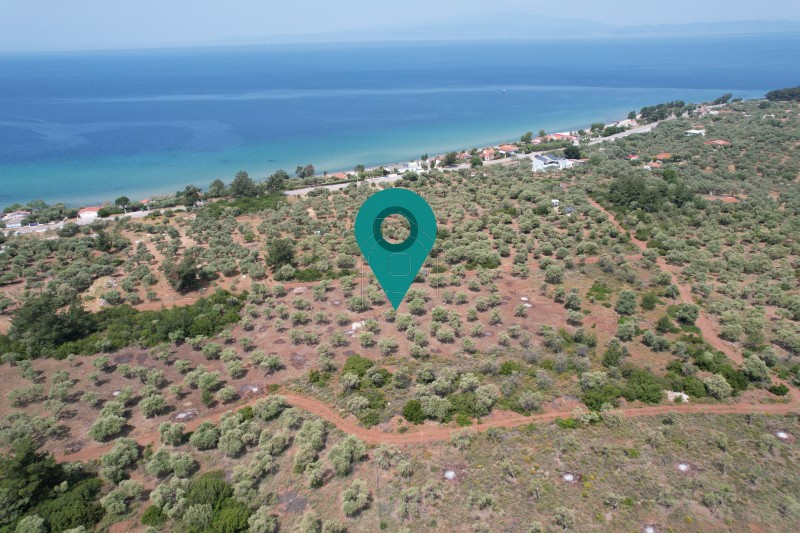Parcel 5.981 sqm for sale, Kavala Prefecture, Thasos