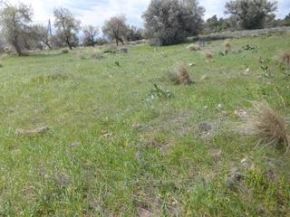 Land plot 470 sqm for sale, Evia, Amarinthos-thumb-2
