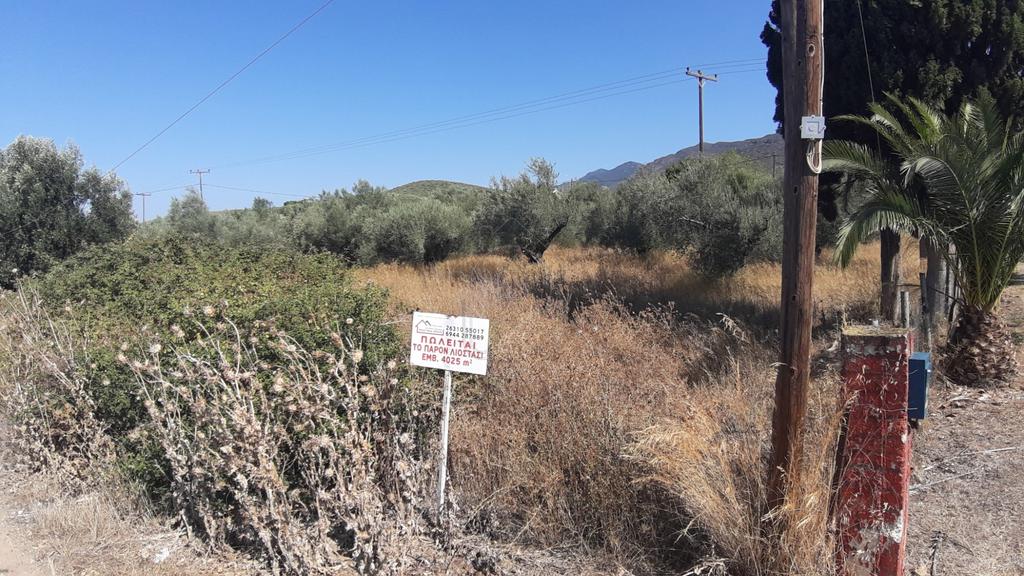 Οικόπεδο 4.000 τ.μ. προς πώληση, Αιτωλοακαρνανία, Ιερά Πόλη Μεσολογγίου
